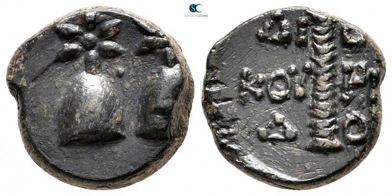 Colchis. Dioskourias circa 200-0 BC. 
Bronze Æ

14 mm., 4,88 g.



very f...