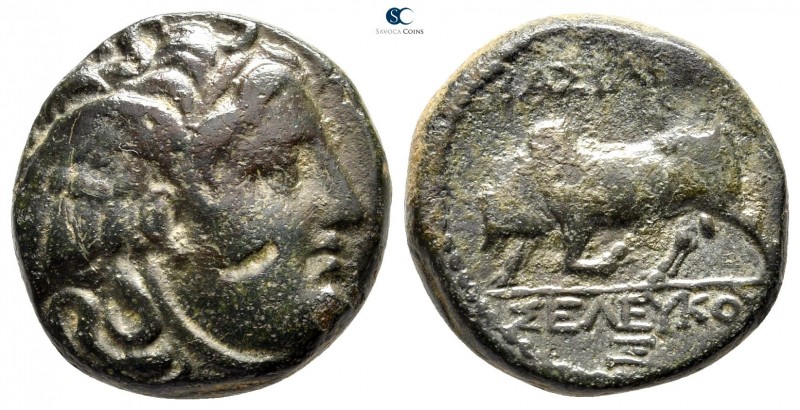 Seleukid Kingdom. Antioch on the Orontes. Seleukos I Nikator 312-281 BC. 
Bronz...