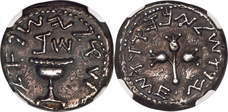 JUDAEA. The Jewish War (AD 66-70). AR shekel (22mm, 13.65 gm, 12h). NGC Choice X...