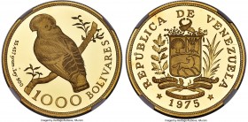 Republic gold Proof "Cock of the Rock" 1000 Bolivares 1975 PR69 Ultra Cameo NGC, British Royal mint, KM-Y48.1, Fr-8. Mintage: 483. Detailed Wings vari...