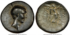 BITHYNIA. Nicaea. Julius Caesar, as Dictator (49-44 BC). AE (22mm, 7.47 gm, 1h). NGC Choice Fine 4/5 - 2/5, light smoothing. C. Vibius Pansa, proconsu...