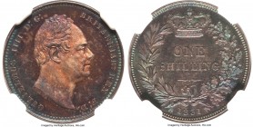 William IV Proof Shilling 1831 PR65 NGC, KM713, S-3835. Plain edge. An absolutely phenomenal representative of this Proof-only issue, presenting the v...
