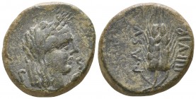 Lucania. Paestum 90-44 BC. Semis AE