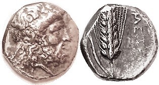 METAPONTUM , Nomos, 340-330 BC, Zeus Eleutherios head r/Corn grain, META at rt, ...