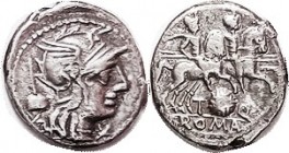 T. Quinctius, Cr.267/1, Sy.505, Roma head r, flamen's cap behind/Dioscuri rt, round shield below; AVF, sl off-ctr, bright silver with minimal roughine...