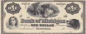 Confederate States of America, 1 Dollar, 18xx, UNC, 
Michigan
Estimate: 80-160 USD