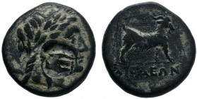 Aeolis. Aigai circa 300-200 BC. AE Bronze.Head of Apollo right / AIΓAEΩN, goat standing right.SNG Cop. 10; SNG von Aulock 1596.

Condition: Very Fine
...
