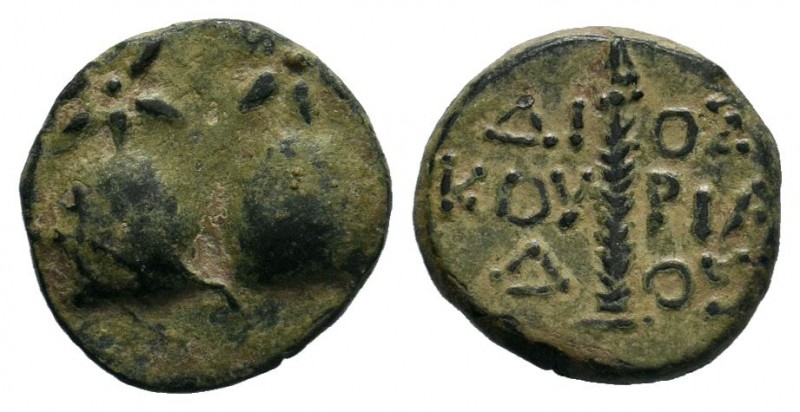 KOLCHIS. Dioskourias. (Circa 2nd-1st Century BC).AE Bronze.

Condition: Very Fin...