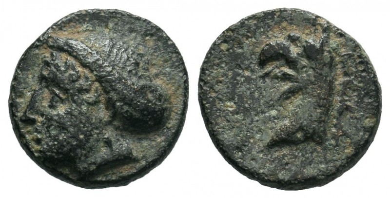 IONIA.Phokaia. (350-300 BC).AE Bronze

Condition: Very Fine

Weight: 1.85 gr
Dia...