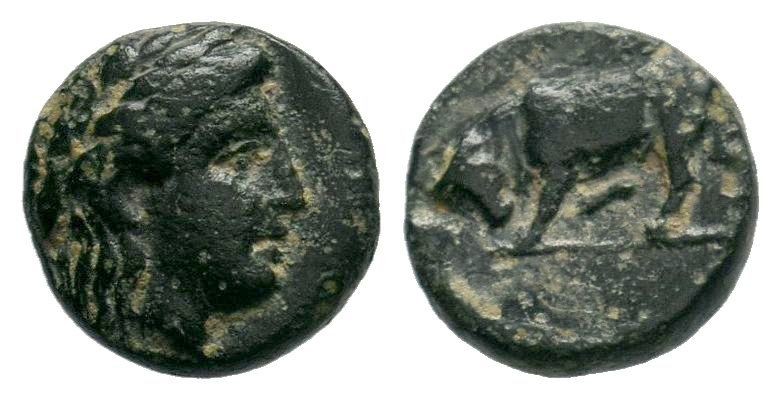 MYSIA. Gambrion. Ae (4th century BC).
Obv: Laureate head of Apollo right.
Rev: B...