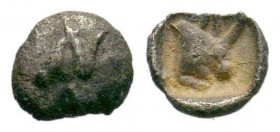 Greek obol. Uncertain . (Circa 405-360 BC)

Condition: Very Fine

Weight: 0.27 gr
Diameter: 5 mm