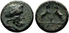 Pisidia Sagalassos Æ / Zeus / Two goats, 1st Century BC-!st Century AD

Condition: Very Fine

Weight: 2.9 gr
Diameter: 15 mm