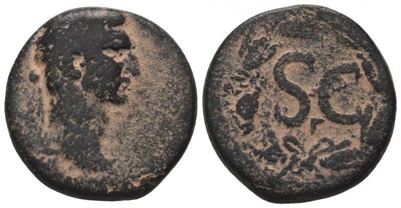 Nerva. A.D. 96-98. AE
Condition: Very Fine

Weight: 15.54 gr
Diameter: 27 mm