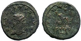 Gallienus. AD 253-268. Antoninianus. Antioch mint. 11th emission, AD 264-265. Radiate and draped bust left / Lion advancing left; to left, bull’s head...