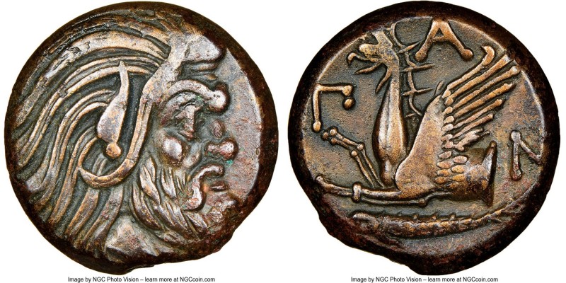 CIMMERIAN BOSPORUS. Panticapaeum. 4th century BC. AE (20mm, 11h). NGC Choice XF....