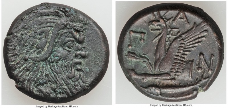 CIMMERIAN BOSPORUS. Panticapaeum. 4th century BC. AE (21mm, 7.38 gm, 12h). VF. H...