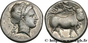 CAMPANIA - NEAPOLIS
Type : Nomos, statère ou didrachme 
Date : c. 300 AC. 
Mint name / Town : Naples, Campanie 
Metal : silver 
Diameter : 20,5  mm
Or...