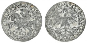 Lithuania 1/2 Grosz 1560 Sigismund II Augustus 1545-1572 Lithuanian coins Vilnius ending with inscriptions L / LITV Silver. Cesnulis-Ivanauskas 4SA437...