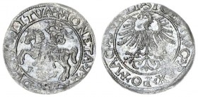 Lithuania ½ Grosz 1561 Sigismund II Augustus 1545-1572 - Lithuanian coins Vilnius ending of the inscription LI / LITVA Silver. Cesnulis-Ivanauskas 4SA...