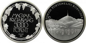 5000 Forint 2008 
Europäische Münzen und Medaillen, Ungarn / Hungary. Europa Kulturerbe - Tokaja Weinregion. 5000 Forint 2008, Silber. Polierte Platt...