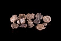 Lot of 13 Roman Lead Seals, c. 4th-5th century AD (15-20mm), including heads, busts and victories.