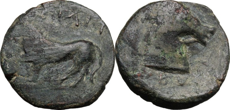Greek Italy. Northern Apulia, Teate. AE 19 mm, c. 325-275 BC. D/ Horse advancing...