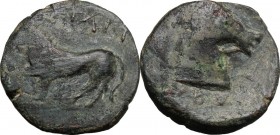 Northern Apulia, Teate. AE 19 mm, c. 325-275 BC