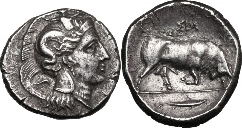 Greek Italy. Southern Lucania, Thurium. AR Distater, c. 350-300 BC. D/ Helmeted ...