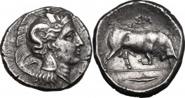 Southern Lucania, Thurium. AR Distater, c. 350-300 BC