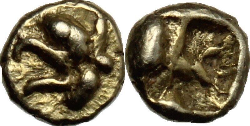 Greek Asia. Ionia, uncertain mint. EL 1/16 Stater, c. 6th century BC. D/ Head of...