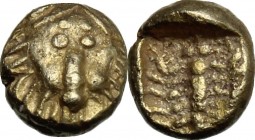 Ionia, uncertain mint. EL 1/48 Stater, c. 6th century BC
