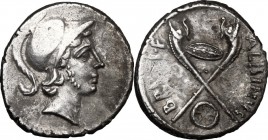 Albinus Bruti f. . AR Denarius, 49 BC