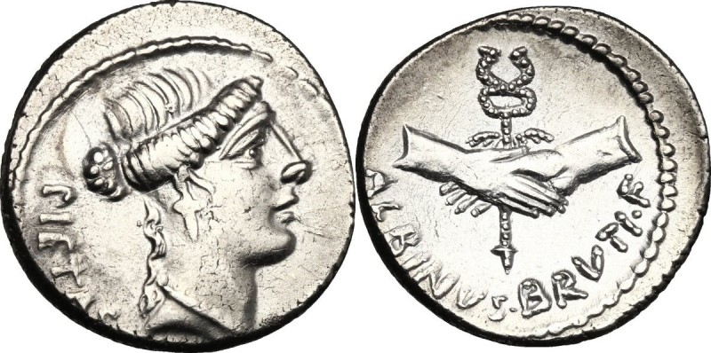 Albinus Bruti f. AR Denarius, 48 BC. D/ PIETAS. Head of Pietas right. R/ Two han...