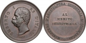 Umberto I (1878-1900).. Medaglia s.d. del Ministero d'Agricoltura Industria e Commercio, al merito industriale