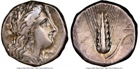 LUCANIA. Metapontum. Ca. 330-280 BC. AR stater (19mm, 6h). NGC Choice VF, brushed. Dai- and Max-, magistrates. Head of Demeter right, wreathed with gr...