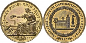 Borna
 Vergoldete Silbermedaille 1894. Preismedaille der Bezirksausstellung für Landwirtschaft und Industrie. Industria sitzt neben den Attributen de...