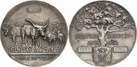 Medaillen und Abzeichen
 Silbermedaille o.J. (graviert 1913) (Mayer & Wilhelm) Ehrenpreis der Landwirtschaftlichen Ausstellung Windhuk. Tiere in berg...