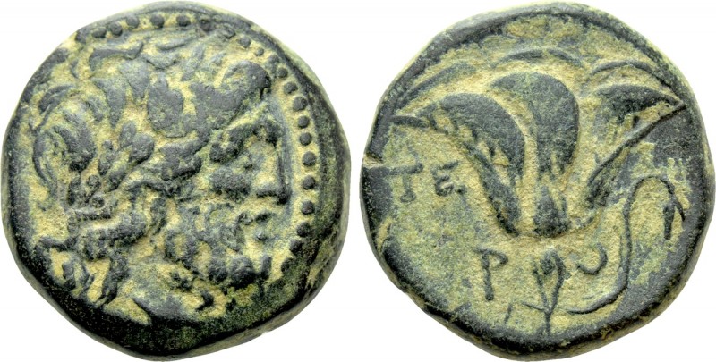 CARIA. Rhodes. Ae Tetrachalkon (Circa 229-205 BC). 

Obv: Laureate head of Zeu...