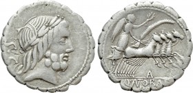 Q. ANTONIUS BALBUS. Serrate Denarius (83-82 BC). Rome.