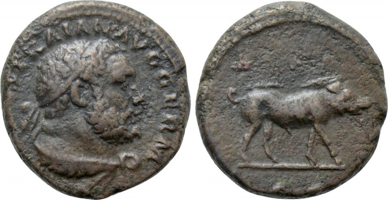 TRAJAN (98-117). Quadrans. Rome. 

Obv: IMP CAES TRAIAN AVG GERM. 
Diademed b...