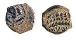 YEHOHANAN HYRCANUS, 135 – 104 BCE Bronze half Prutah, 10.5 mm. Obverse: Lily flower. Reverse: Palm branch. Paleo-Hebrew inscription: "Yehohanan the Hi...
