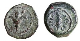 ALEXANDER YANNAEUS, 104 – 74 BCE Bronze half Prutah, 11.7 mm. Obverse: Lily flower. Reverse: Palm branch. Paleo-Hebrew inscription: “Yehonatan the Kin...