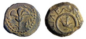 ALEXANDER YANNAEUS, 104 – 74 BCE Bronze Prutah, 14.5 mm. Obverse: Lily flower. Paleo-Hebrew inscription: “Yehonatan the King”. Reverse: Anchor. Greek ...