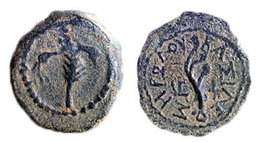 HEROD THE GREAT, 40 – 4 BCE Bronze, 14.2 mm. Obverse: Palm branch with ribbon. R...