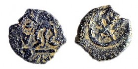 HEROD THE GREAT, 40 – 4 BCE Bronze, 12.1 mm. Obverse: Two crossed palm branches in circle. Reverse: Table, ΒΑΣIΛEΩΣ ΗPΩΔΟY. Very Fine. Meshorer TJC 55...