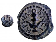 HEROD THE GREAT, 40 – 4 BCE Bronze, 13.2 mm. Obverse: Double cornucopiae. Reverse: Anchor, ΒΑΣI ΗPΩΔ. +Very Fine. Meshorer TJC 59a var; Hendin 1188; A...