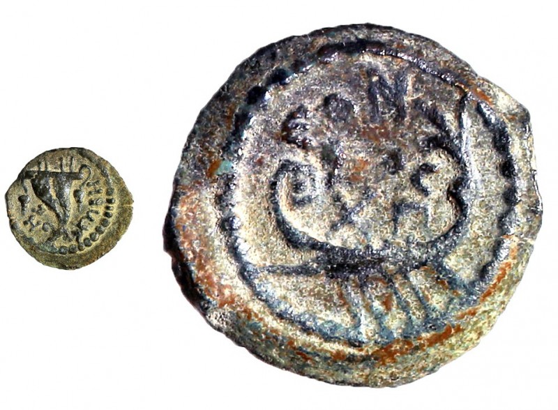 HEROD ARCHELAUS, 4 BCE – 6 CE Bronze, 18.5 mm. Obverse: Double cornucopiae, ΗPWΔ...