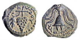 HEROD ARCHELAUS, 4 BCE – 6 CE Bronze, 15.5 mm. Obverse: Bunch of grapes, ΗPWΔOY. Reverse: Crested helmet, with caduceus, EΘNAPXOY. +Very Fine. Meshore...