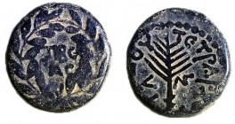 HEROD ANTIPAS, 4 BCE – 39 CE Bronze, 22.8 mm. Obverse: TIBEPIAC in wreath. Reverse: Palm branch, ΗPWΔOY TETPAPXOY, LΛΓ (year 33 = 29/30 CE). Very Fine...