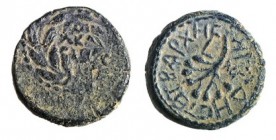 HEROD ANTIPAS, 4 BCE – 39 CE Bronze, 15.7 mm. Obverse: Bunch of dates, ΗPWΔHC TETPAPXHC, L MΓ (year 43 = 39 CE). Reverse: ΓAIΩ KAICAP in wreath. +Very...